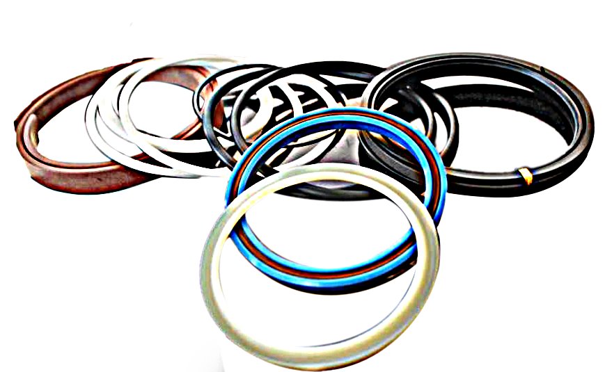 arm main oil seal