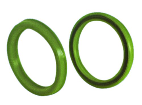 cylinder dust seal