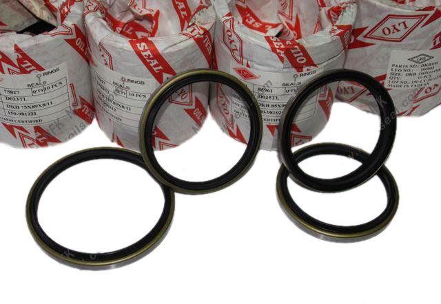 cylinder dust seal