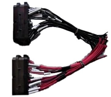 ECU plug