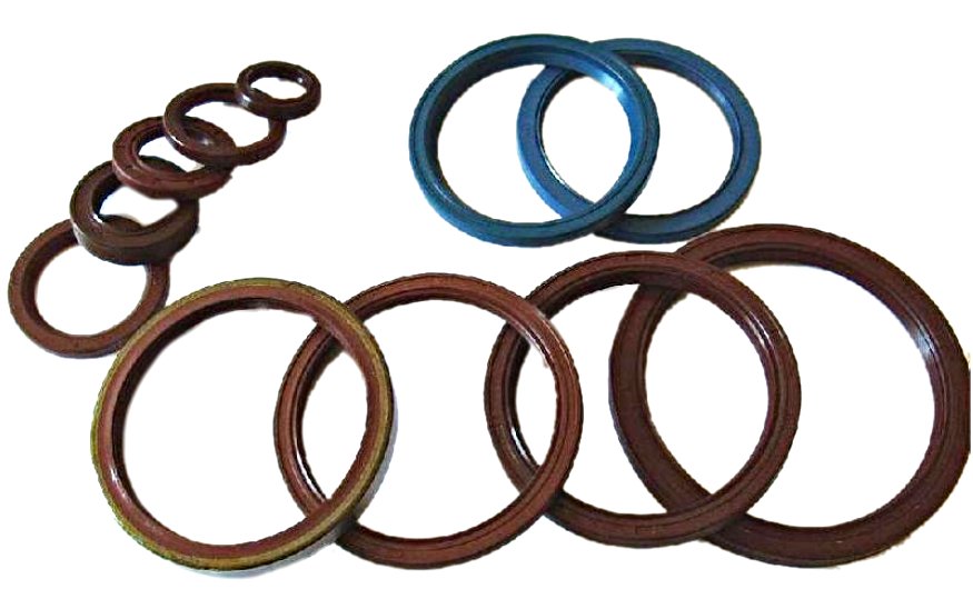 foot valve oil seal repair kit