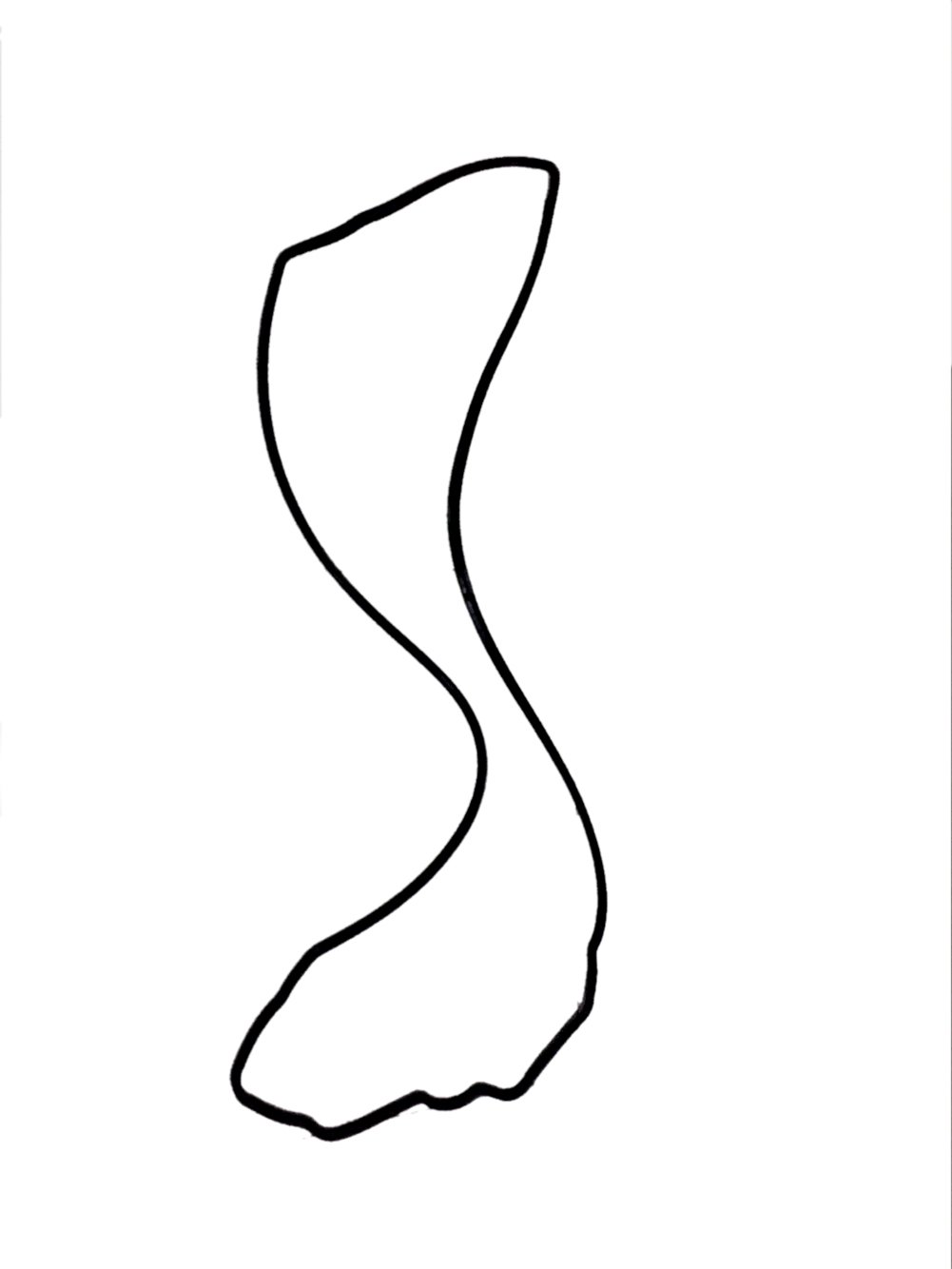 oil pan gasket