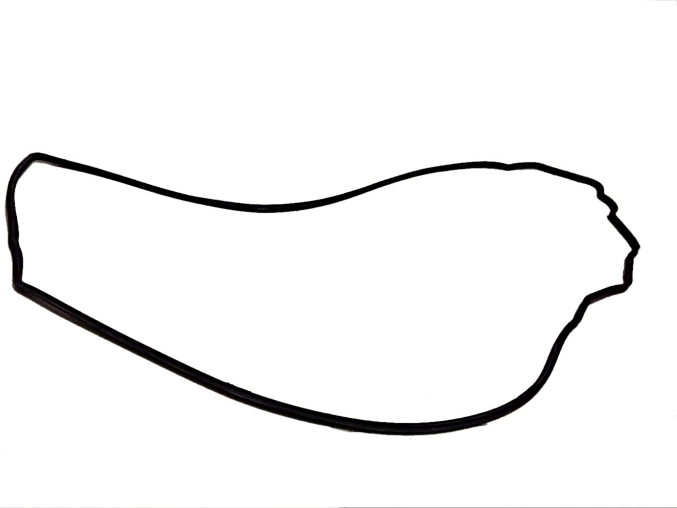 oil pan gasket
