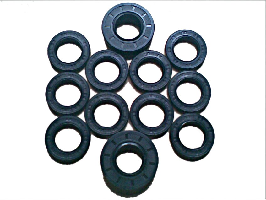 tandem pump oil seal repair kit