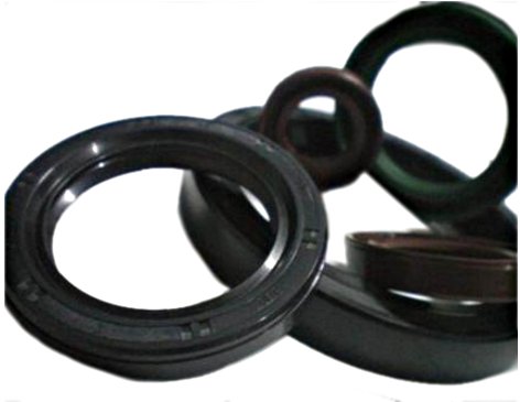 travel motor crankshaft oil seal
