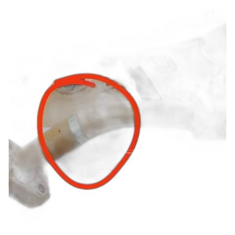 CAT 325D C7 Hydraulic Pipe 218-1127 2181127 for Excavator Engine 218-1127 / 2181127
